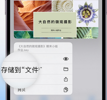 南雄apple维修中心分享iPhone文件应用中存储和找到下载文件