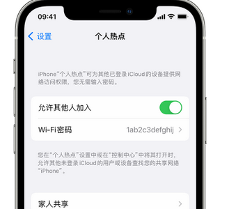 南雄apple服务站点分享iPhone上个人热点丢失了怎么办