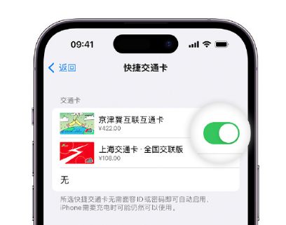 南雄apple维修点分享iPhone上更换Apple Pay快捷交通卡手绘卡面 