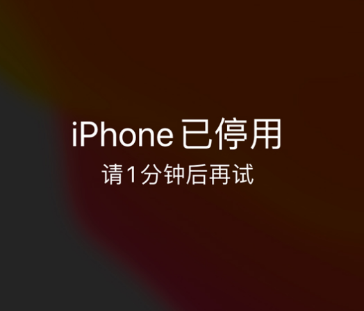 南雄苹果手机维修分享:iPhone 显示“不可用”或“已停用”怎么办？还能保留数据吗？ 