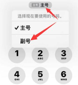 南雄苹果14维修店分享iPhone 14 Pro Max使用副卡打电话的方法 