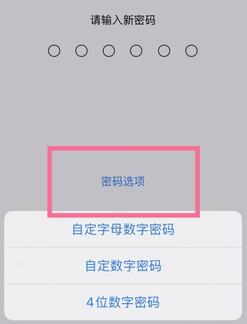 南雄苹果14维修分享iPhone 14plus设置密码的方法 