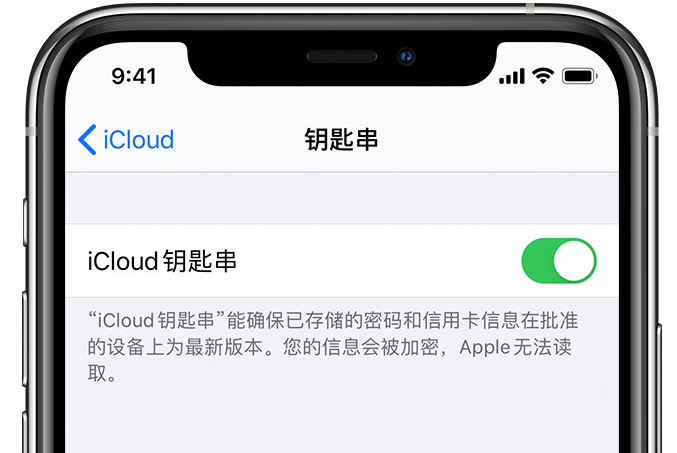 南雄苹果手机维修分享在 iPhone 上开启 iCloud 钥匙串之后会储存哪些信息 