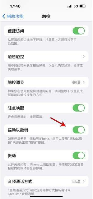 南雄苹果手机维修分享iPhone手机如何设置摇一摇删除文字 